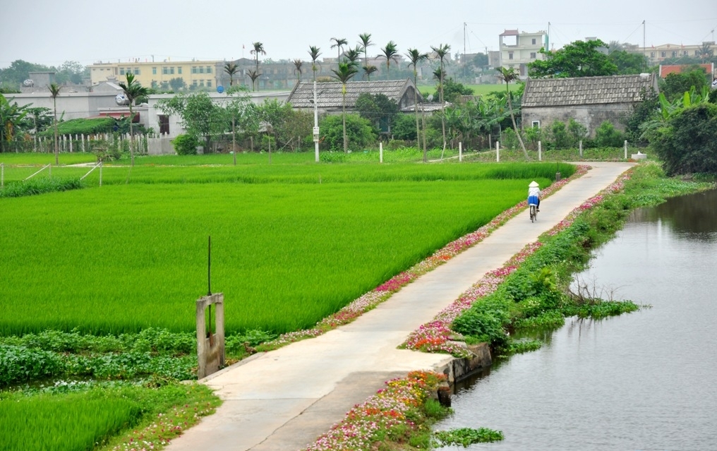 Em đi "thắp sáng đường quê"
