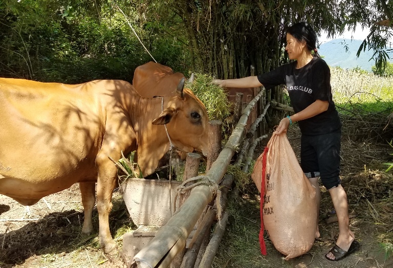 Tuyên Hóa: Giải ngân gần 10 tỷ đồng hỗ trợ hội viên phụ nữ phát triển kinh tế