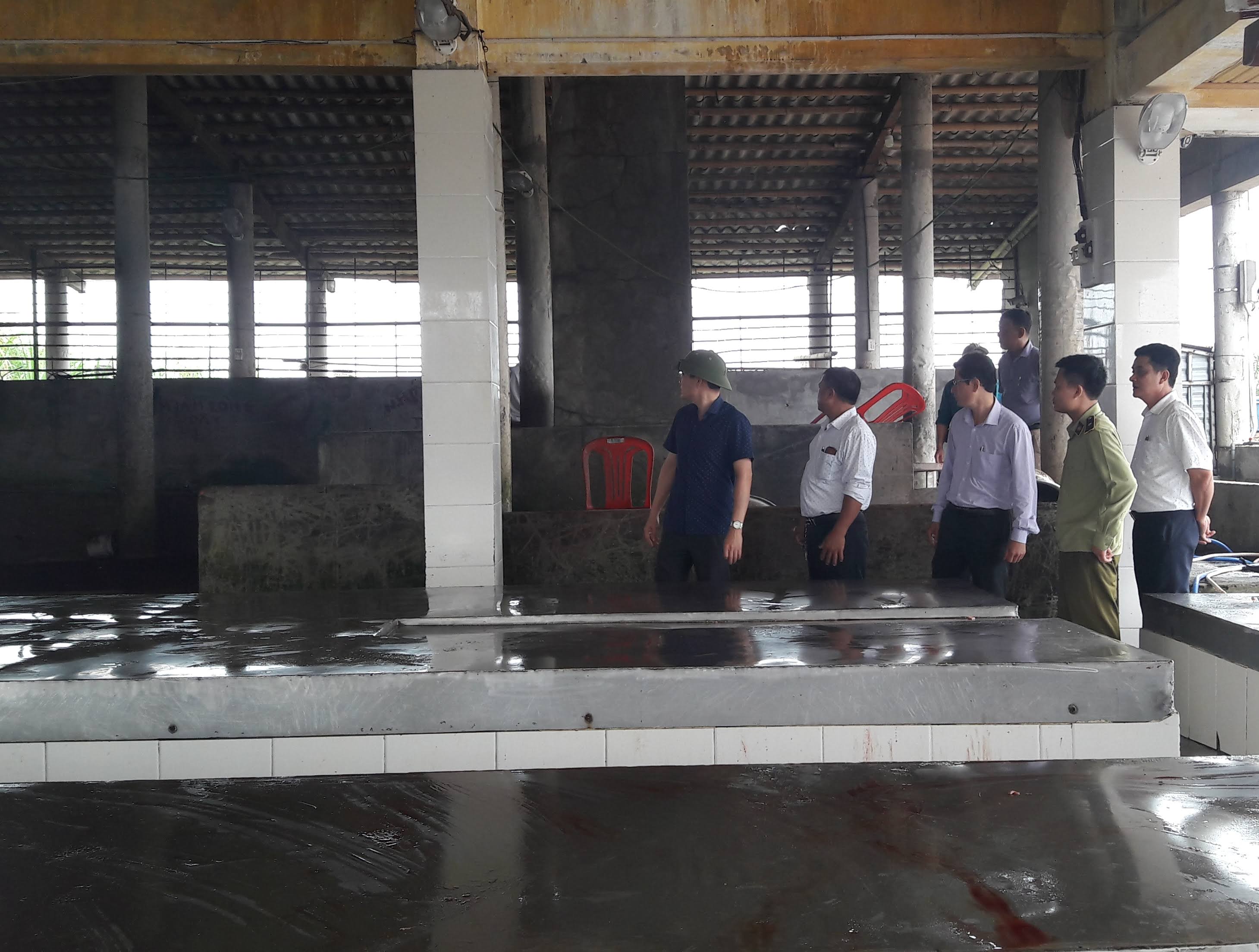 TP. Đồng Hới: Phân bổ 900 lít hóa chất phục vụ phòng chống bệnh dịch tả lợn châu Phi
