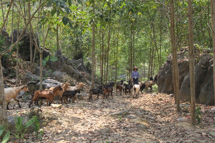 Hoang sơ điểm đến Hung Lầm