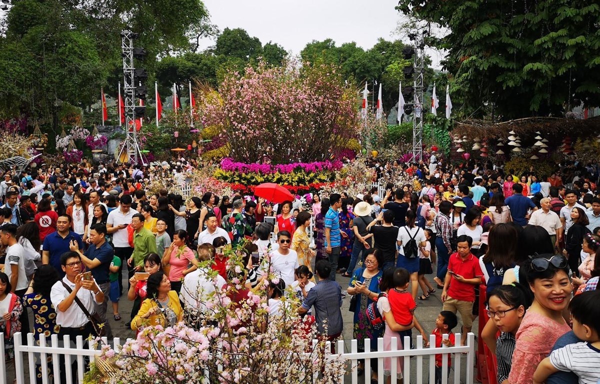 Lễ hội hoa Anh đào Nhật Bản-Hà Nội 2019 kéo dài thêm 1 ngày