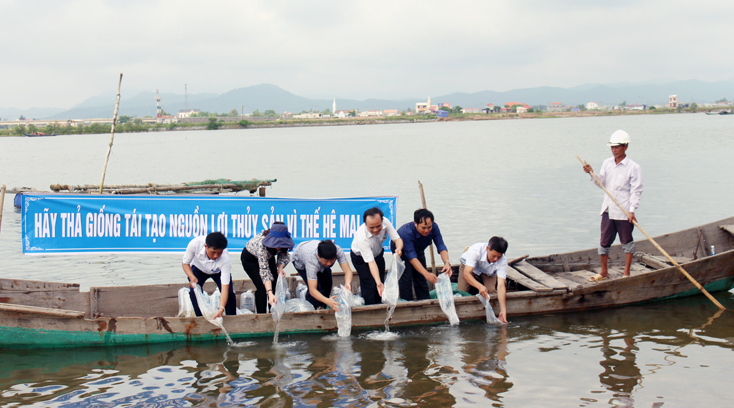 Thả 36,5 vạn con tôm và 2.600 cá giống tái tạo nguồn lợi thủy sản