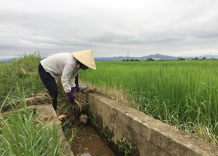 Sẵn sàng chống hạn
