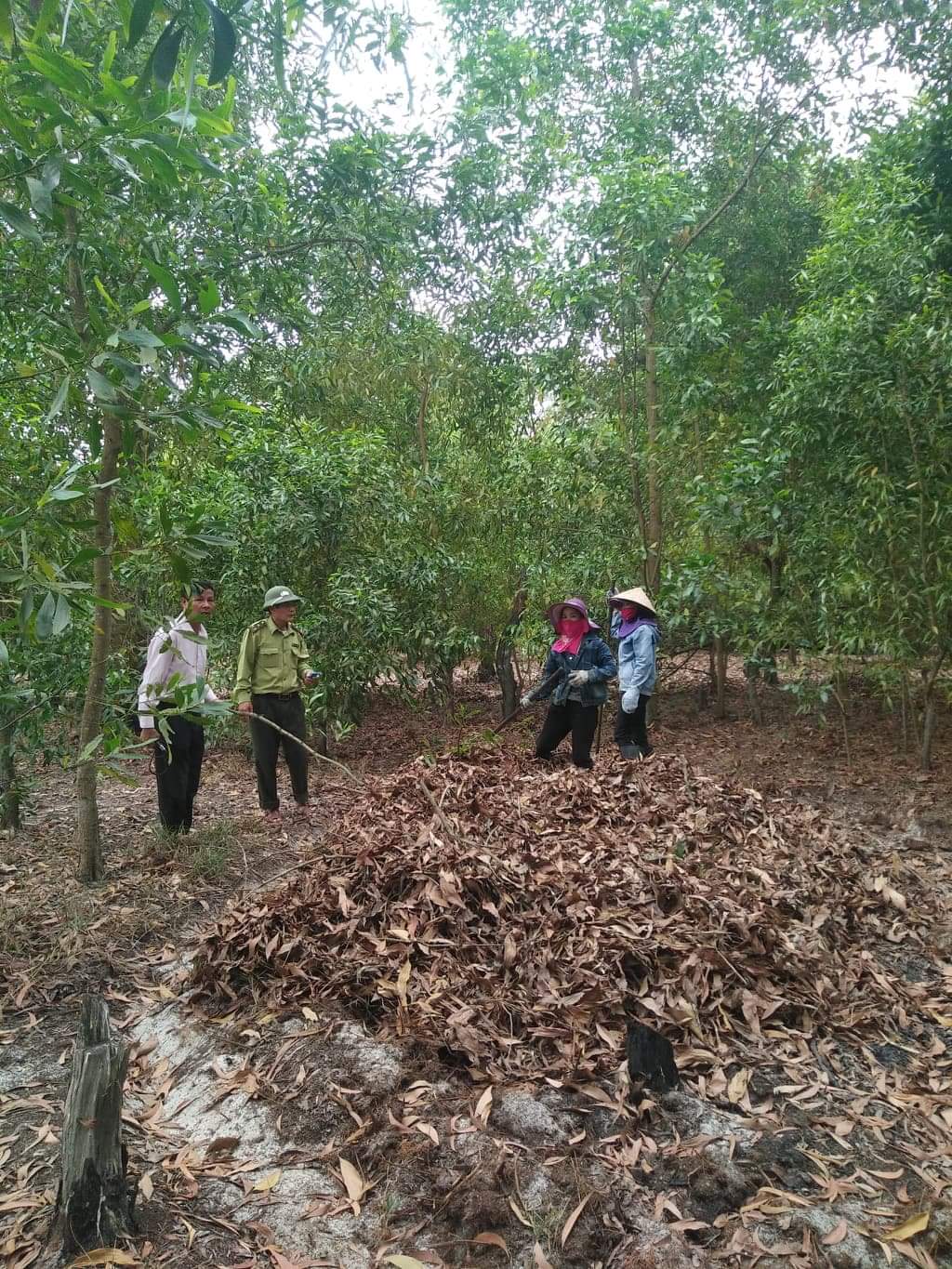 Chủ động phòng cháy chữa cháy rừng