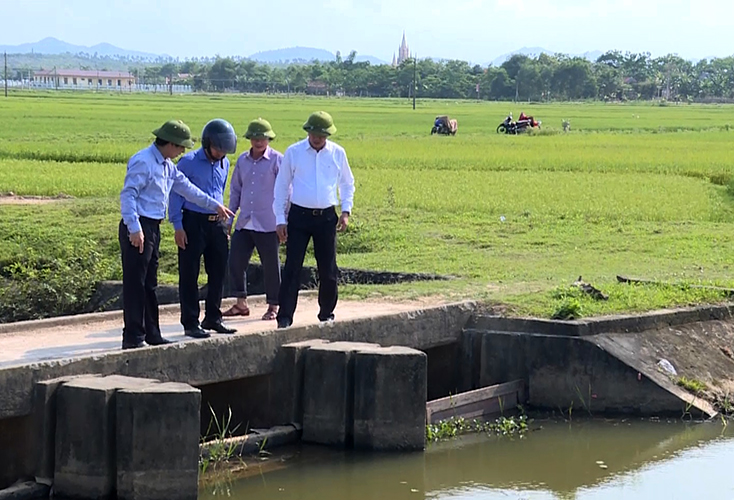 Quảng Trạch:  Trên 200ha lúa đông-xuân bị nhiễm sâu bệnh và chuột phá hại