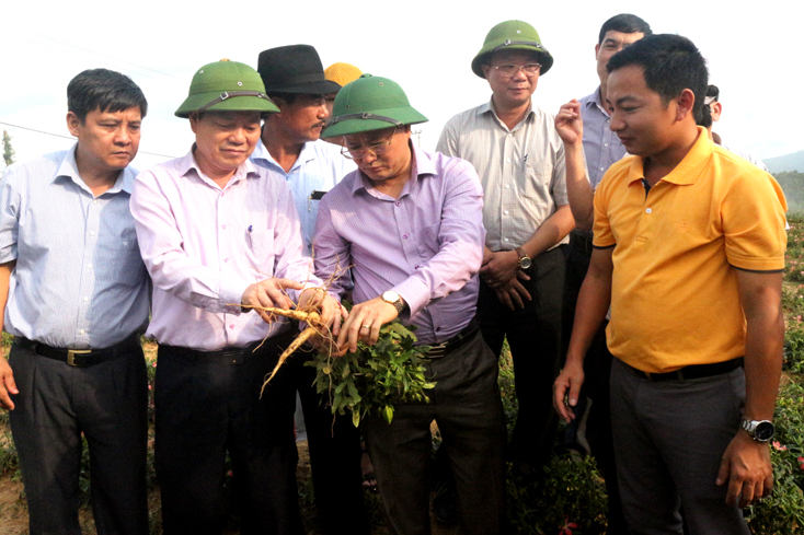 Đồng chí Phó Chủ tịch UBND tỉnh thăm các cơ sở sản xuất