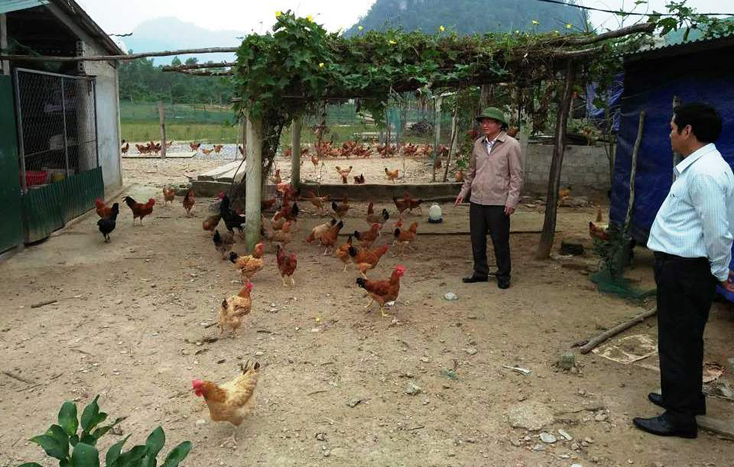 Bố Trạch: Gần 6.000 khách hàng dư nợ tín dụng chính sách