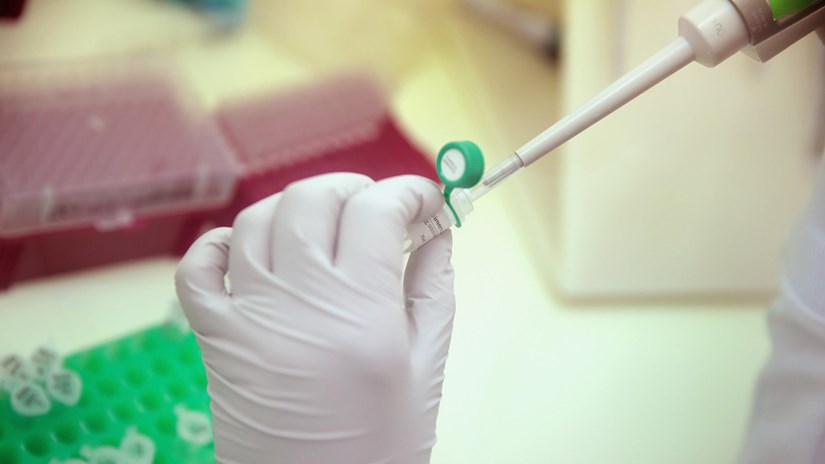 Brazil phát hiện vắcxin chống sốt vàng hữu dụng với Zika