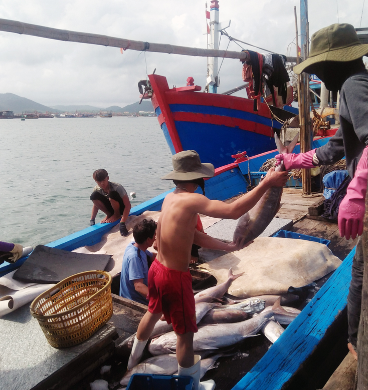 TX. Ba Đồn: Đẩy mạnh khai thác, nuôi trồng thủy, hải sản