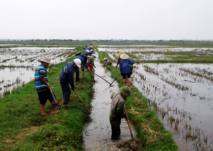 TX. Ba Đồn: Tích cực, chủ động phòng chống hạn
