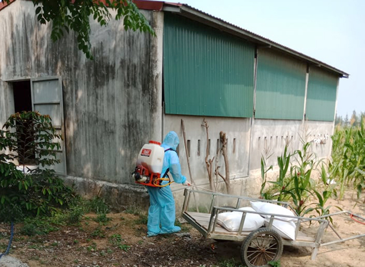 Bố Trạch: Tăng cường chăm sóc đàn vật nuôi