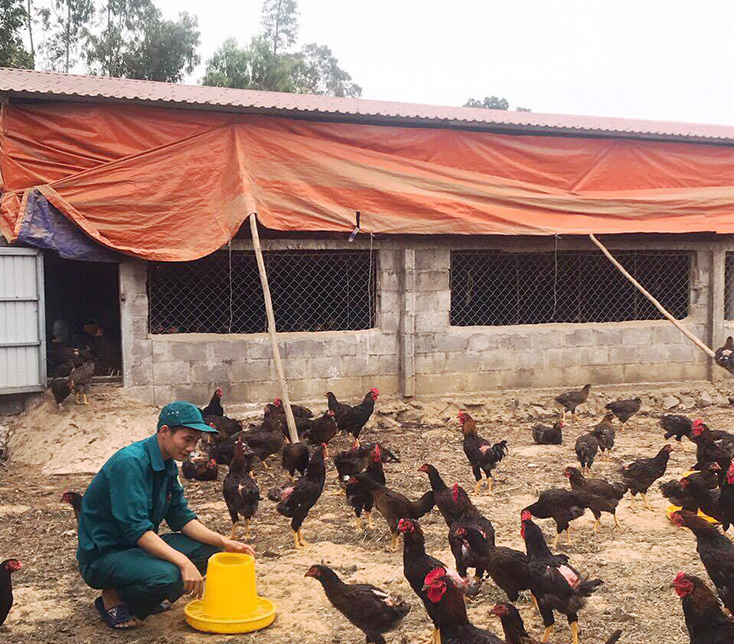 Khát vọng làm giàu từ đồng đất quê hương