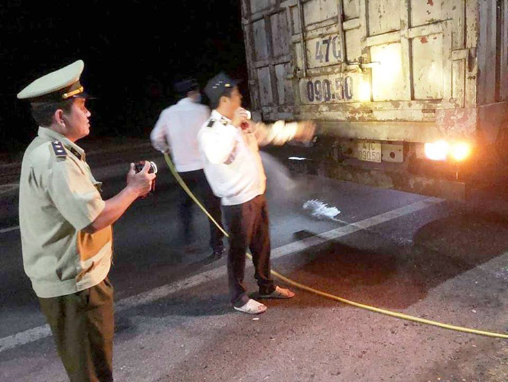 Chủ động phòng chống dịch tả lợn châu Phi