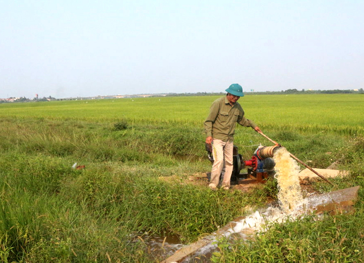 Quảng Ninh:  Tập trung chống hạn cho cây trồng vụ đông-xuân