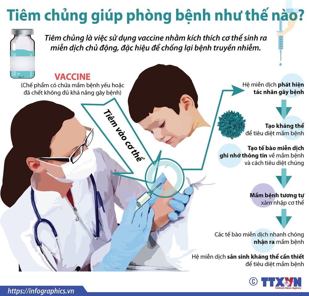 [Infographics] Tiêm chủng vắcxin để chủ động chống lại các bệnh truyền nhiễm