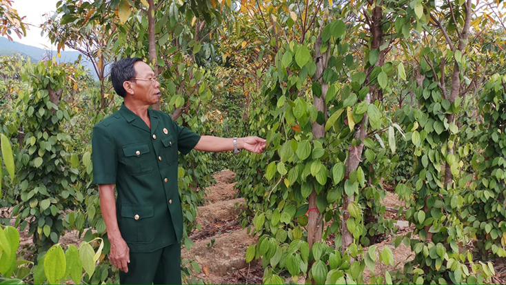 Về Trung Thuần nghe chuyện lịch sử
