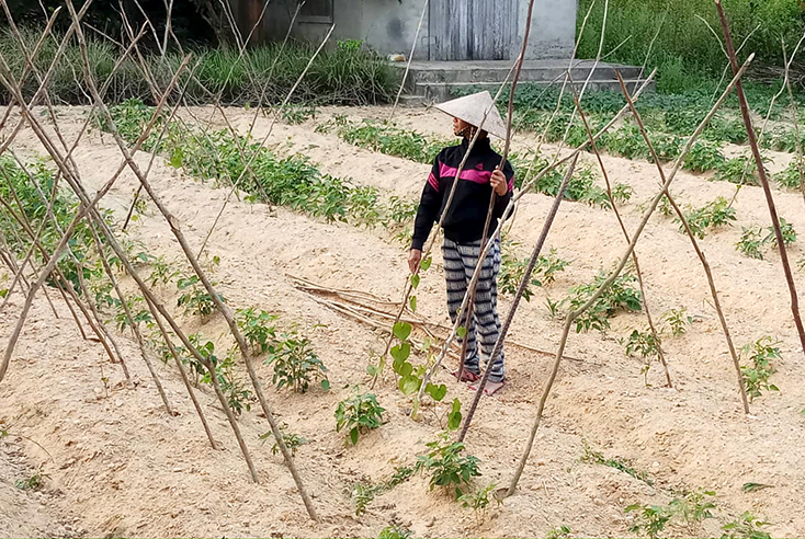 Trăn trở giảm nghèo