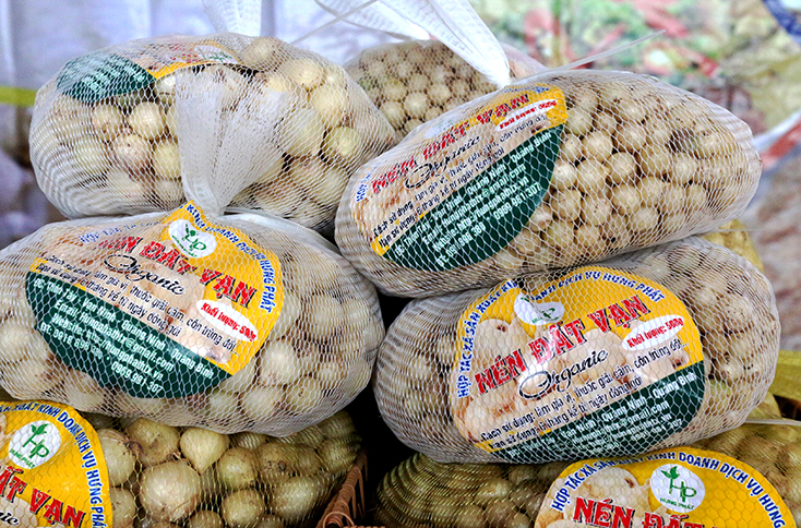 "Mở lối" thương hiệu nén Vạn Ninh