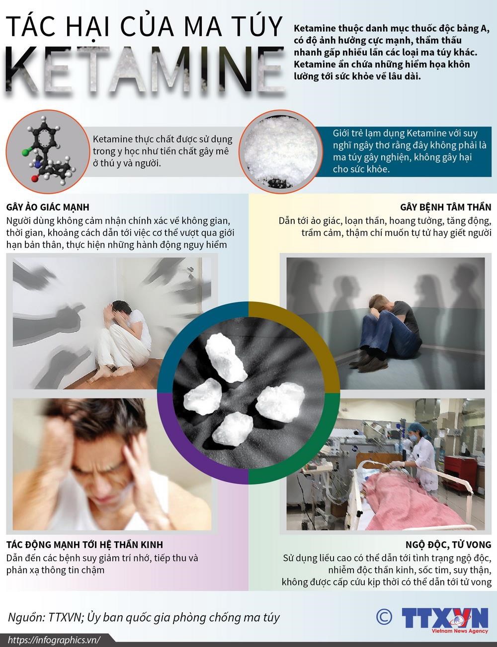 [Infographics] Tìm hiểu về các tác hại của ma túy ketamine