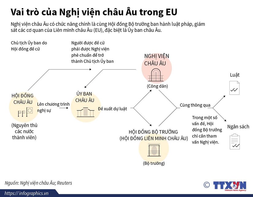 [Infographics] Tìm hiểu vai trò của Nghị viện châu Âu trong EU