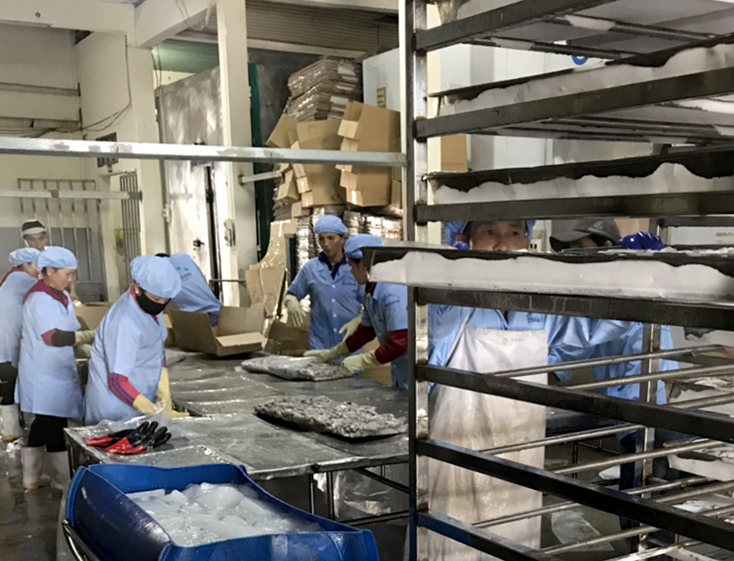 Xây dựng NTM nâng cao ở Bố Trạch: Nhìn từ Thanh Trạch