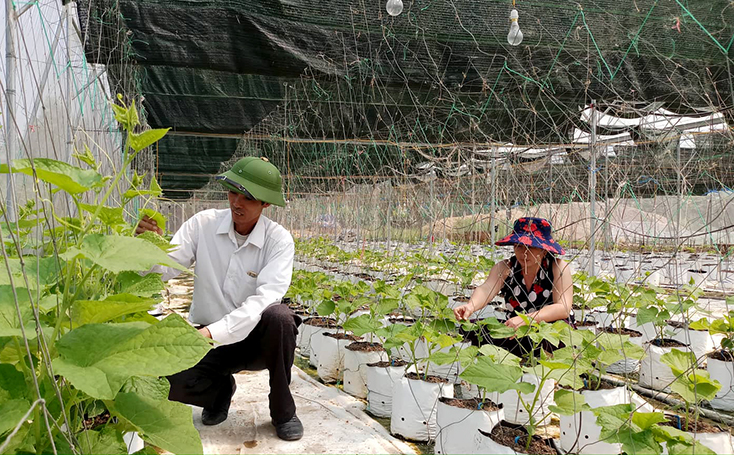 Quảng Trạch-5 năm vượt qua thách thức