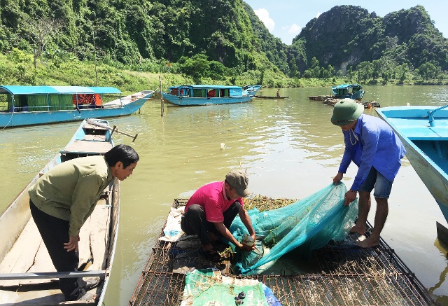 Bố Trạch: Gần 100 tỷ đồng giải ngân cho khách hàng vùng khó khăn