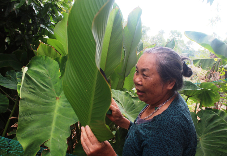 Những tấm gương "sống xanh"