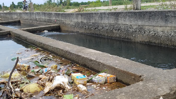 Tân Ninh: Kênh dẫn nước "ngập" rác