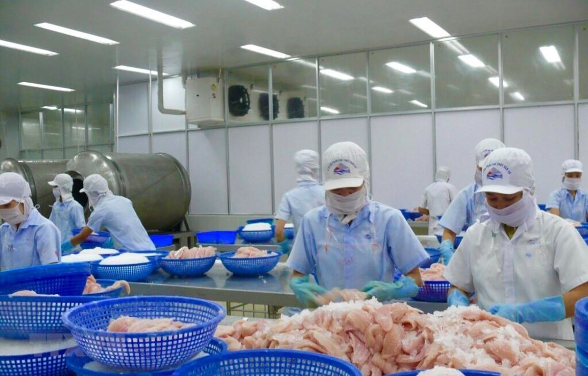 Thương chiến Mỹ-Trung: Việt Nam sẽ thay đổi các chính sách thương mại