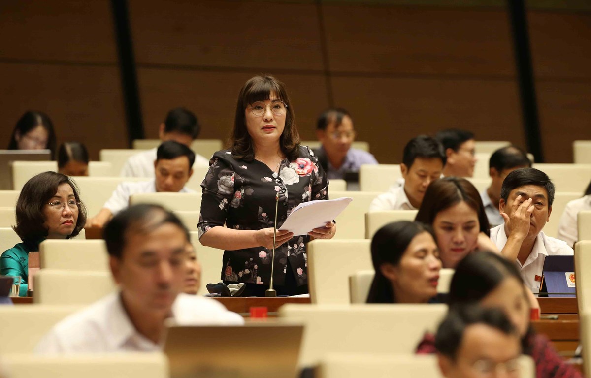 Nhiều ý kiến khác nhau về số lượng phó ban chuyên trách HĐND, UBND