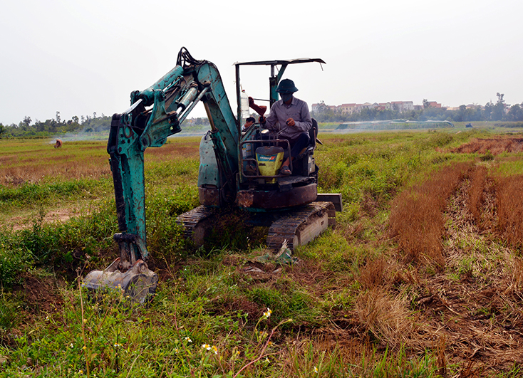 Bố Trạch: Nguy cơ nhiều diện tích ruộng bị bỏ hoang