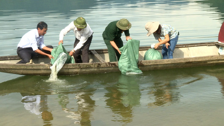 Quảng Ninh chú trọng phát triển bền vững nguồn lợi thủy sản