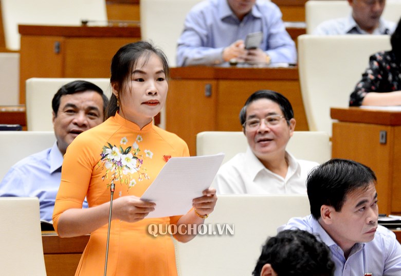 Kỳ họp thứ 7, Quốc hội khóa XIV: Đoàn ĐBQH tỉnh Quảng Bình tích cực tham gia chất vấn