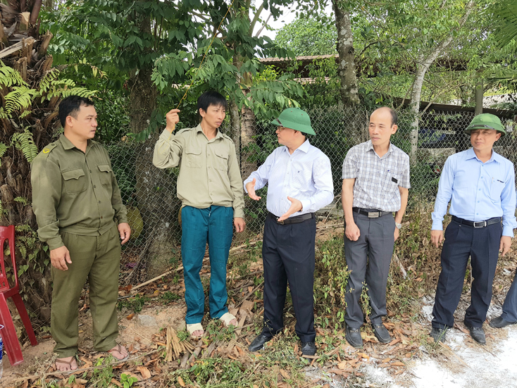 Tập trung kiểm tra các cơ sở chăn nuôi lợn để ngăn chặn dịch bùng phát, lây lan
