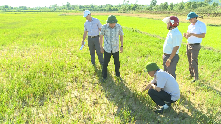 Bố Trạch:  Nỗ lực khắc phục tình trạng khô hạn