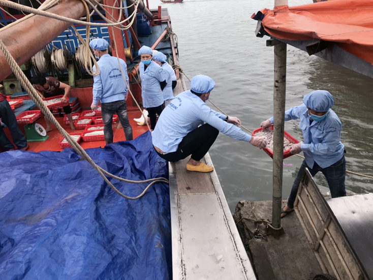 Bố Trạch: Tiếp tục động viên ngư dân ra khơi bám biển