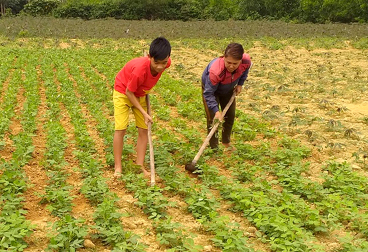 Đảng bộ huyện Bố Trạch: Đổi mới phương thức lãnh đạo, hướng về cơ sở