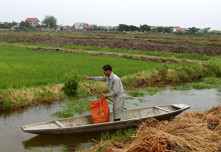 Làm giàu từ đồng đất hoang