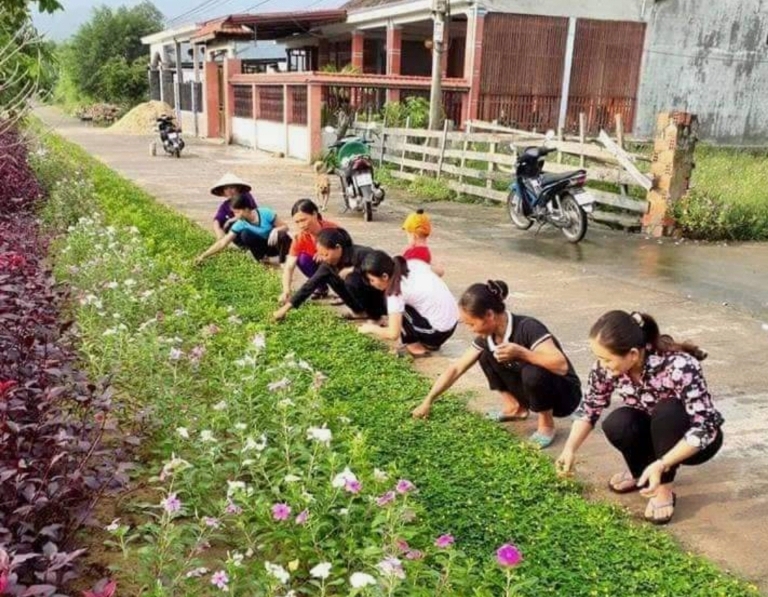 Phụ nữ Tuyên Hóa trồng và chăm sóc hơn 33.900m đường hoa