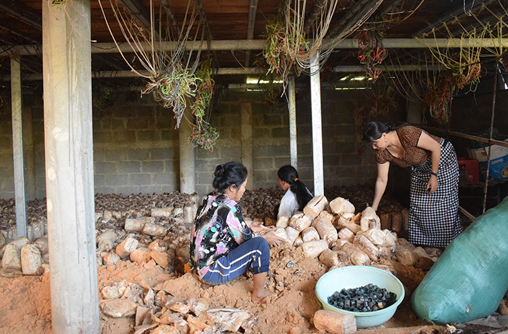 Xã Hiền Ninh: Hỗ trợ người dân phát triển kinh tế, xóa đói giảm nghèo