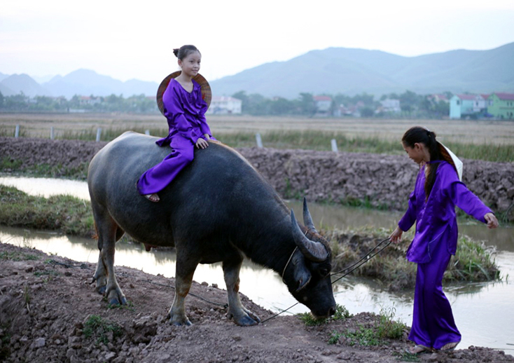 Tấc đất, tấc vàng...