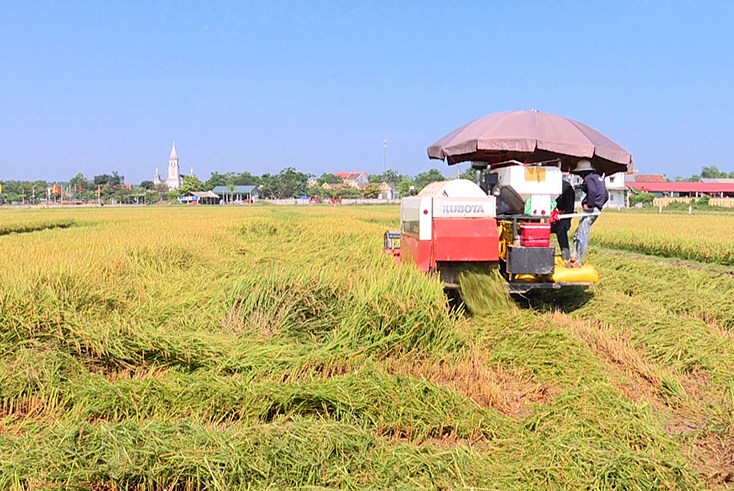 Quảng Trạch: Đẩy mạnh dồn điền đổi thửa