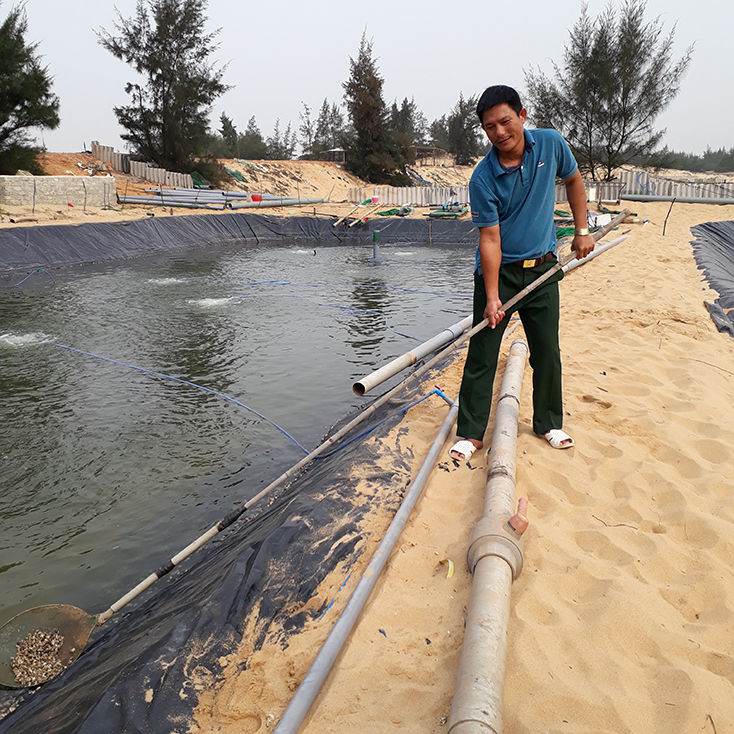 Làm giàu từ ốc hương
