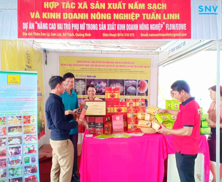 Nấm sạch Tuấn Linh được chọn xây dựng mô hình sản phẩm OCOP tại các tỉnh miền Trung