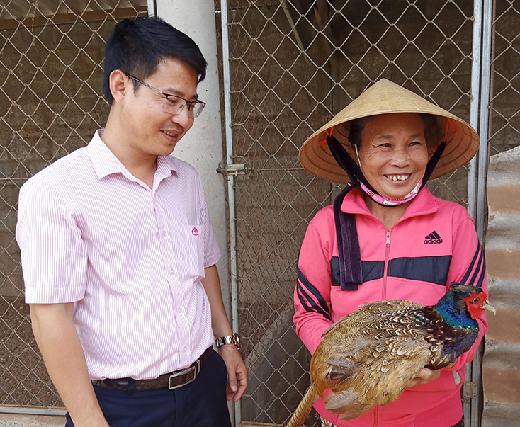 Lệ Thủy:  Tạo đột phá trong tín dụng chính sách