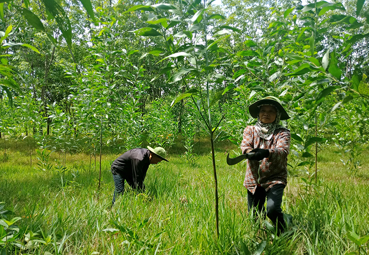 Minh Hóa:  Huy động hơn 107 tỷ đồng xây dựng nông thôn mới