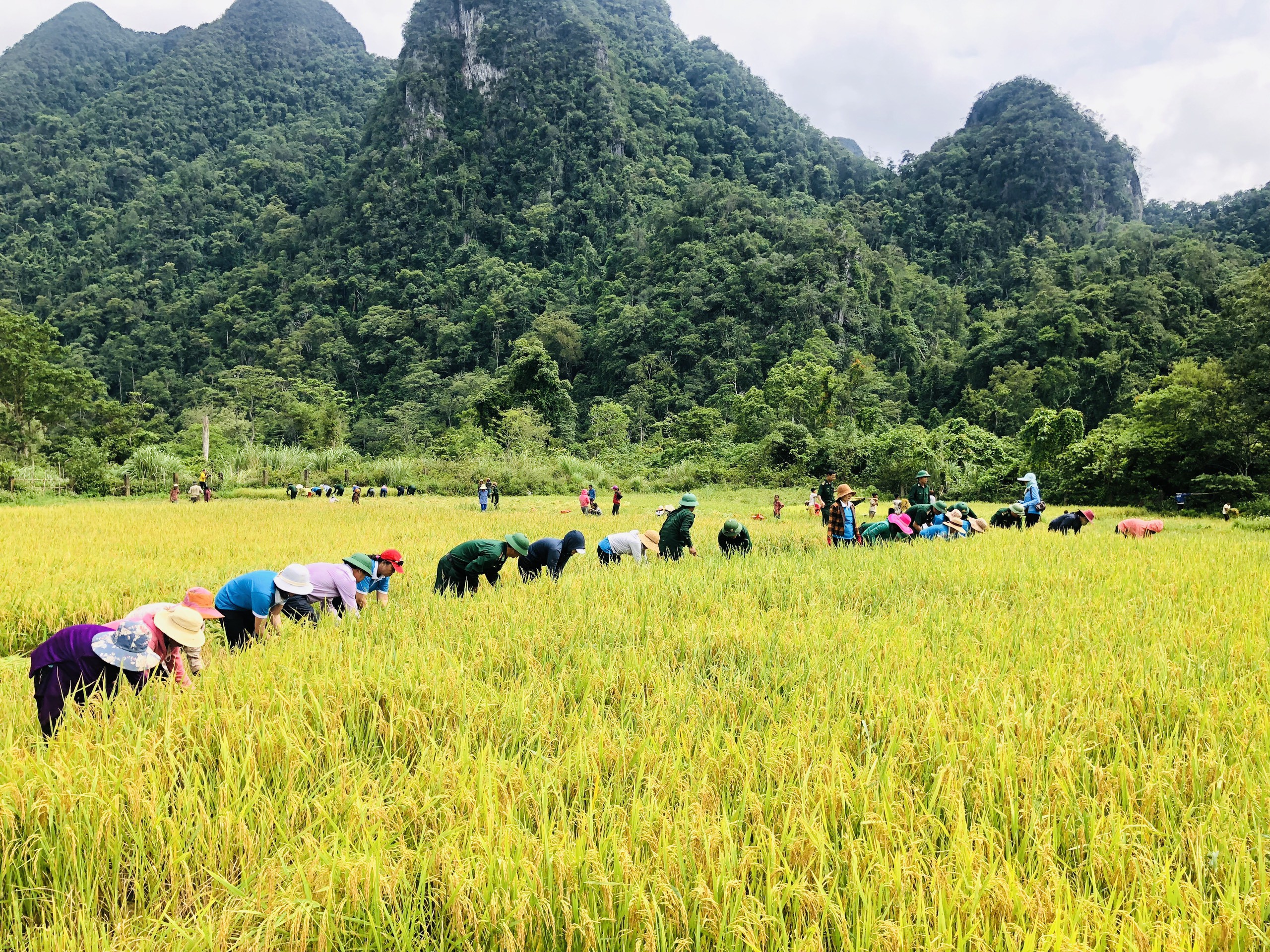 "Đồng hành cùng phụ nữ biên cương" tại bản đồng bào Rục