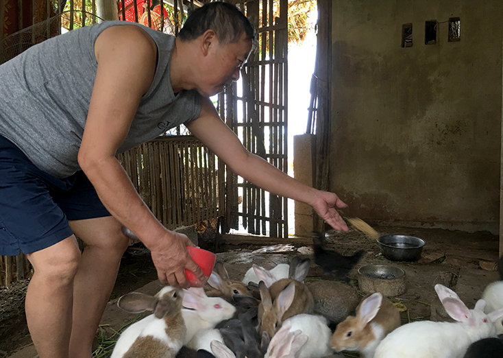 Giúp nhau thoát nghèo từ mô hình nuôi thỏ