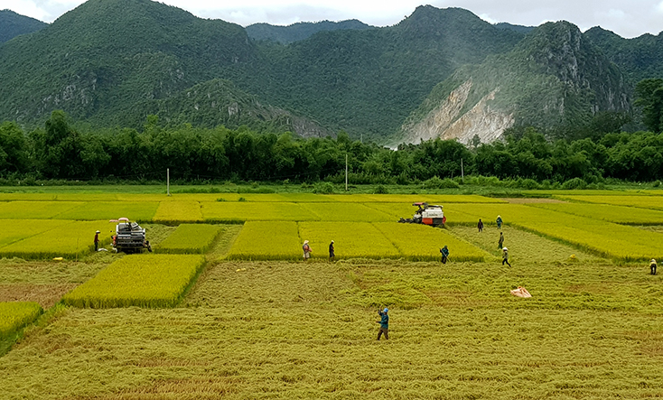 Diện mạo nông thôn mới ở Mai Hóa